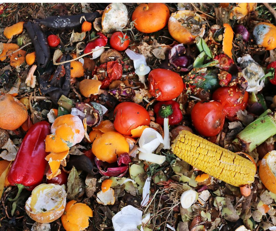 Garbage Disposal-Rotten fridge image of rotting fruit
